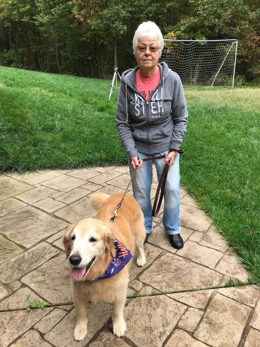 All For Cobalt In Home Pet Care | 4006 West Ct, Chesterfield, VA 23832, USA | Phone: (804) 638-8239