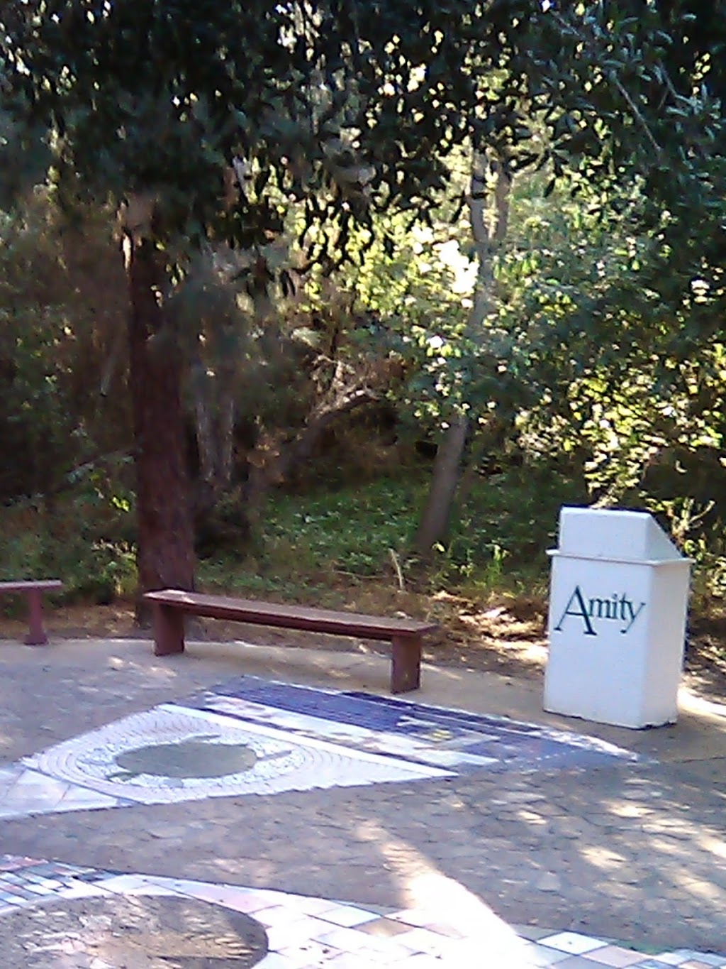 Amity Foundation of California | 2260 Watson Way, Vista, CA 92083, USA | Phone: (760) 599-1892