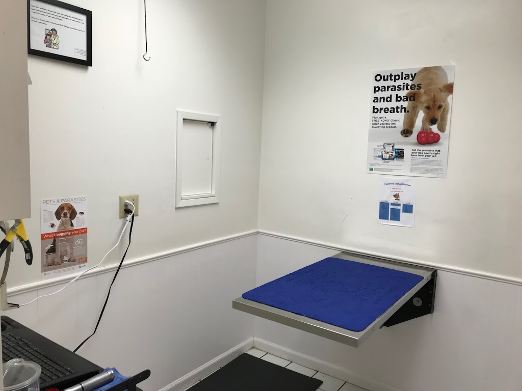 Pacific Beach Veterinary Clinic | 1362 Garnet Ave, San Diego, CA 92109, USA | Phone: (858) 272-6255