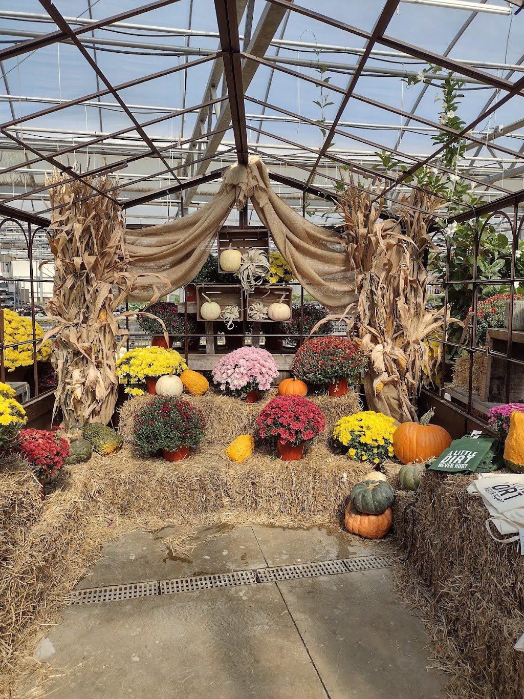 Fogler’s Greenhouse | 3979 N Rochester Rd, Rochester, MI 48306, USA | Phone: (248) 652-3614