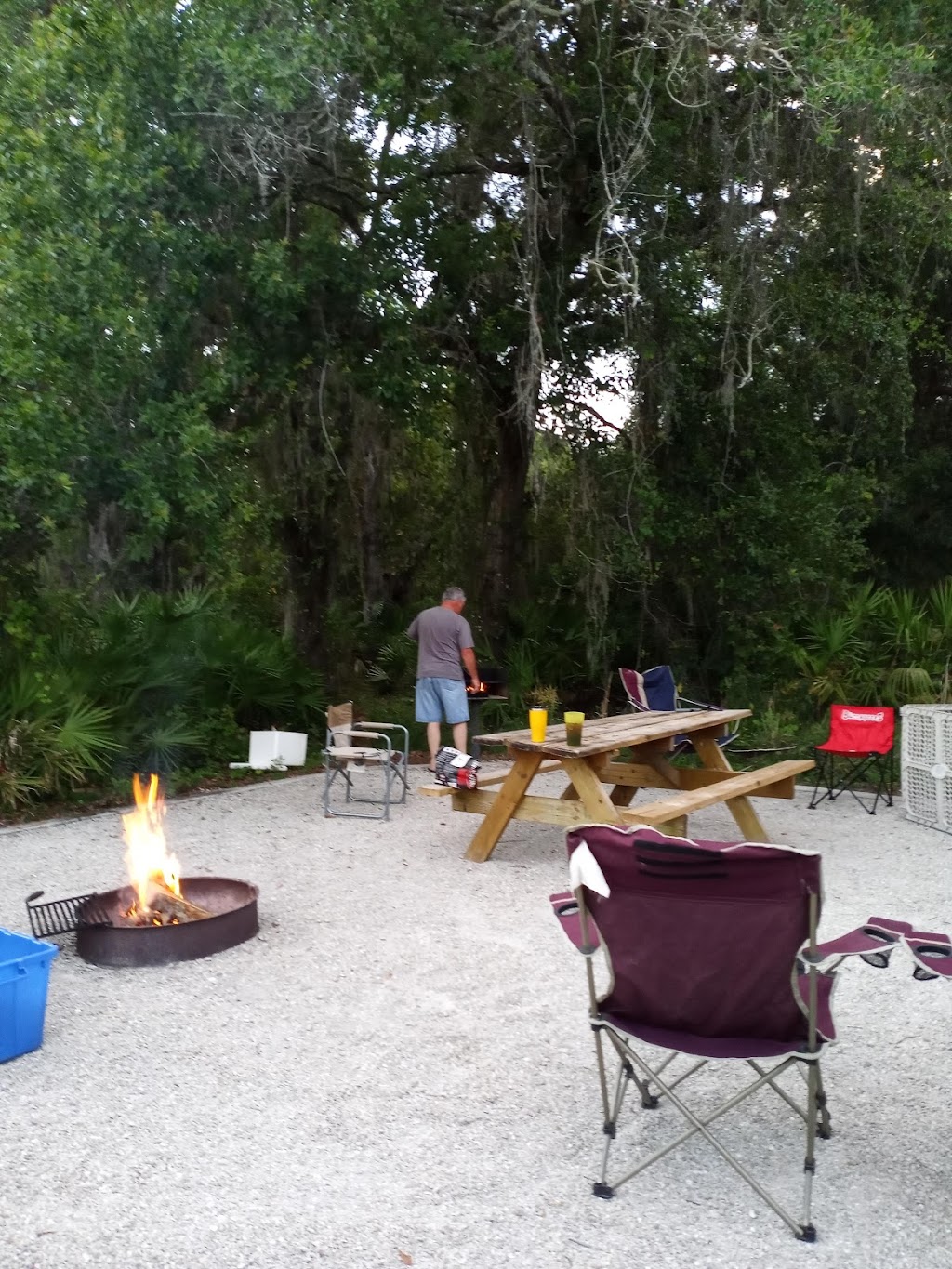 Palmetto Ridge Campground | Sarasota, FL 34241, USA | Phone: (941) 361-6511