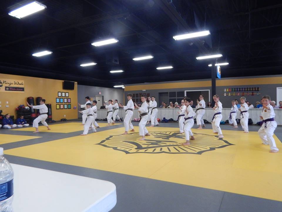 Butoku Karate Dojo | 48884 Romeo Plank Rd, Macomb, MI 48044, USA | Phone: (586) 416-3656