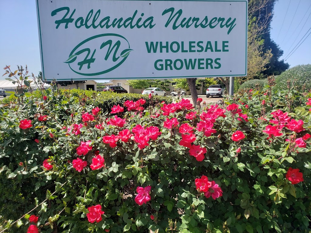 Hollandia Nursery Inc. | 6012 Woodland Ave, Modesto, CA 95358, USA | Phone: (209) 523-1006