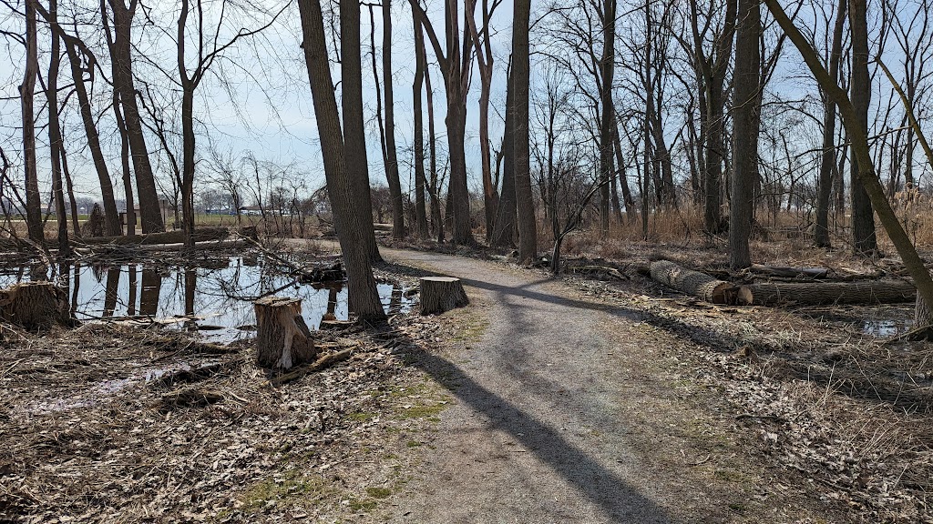 Lake St. Clair Metropark Nature Center | 31300 Metro Parkway, Harrison Twp, MI 48045, USA | Phone: (586) 463-4332