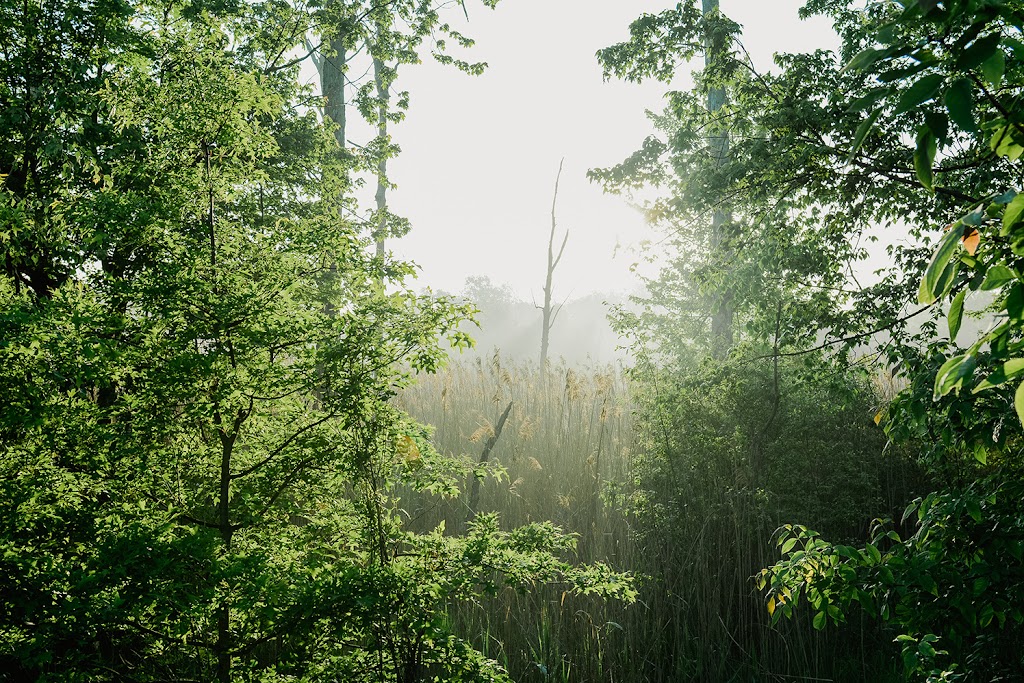 William J. Robertson Nature Preserve | 85 Morning Star Dr, Rittman, OH 44270, USA | Phone: (330) 925-2045