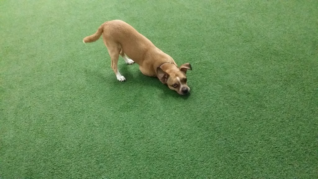 Opening Day Training (ODT) | 6321 Porter Rd, Sarasota, FL 34240, USA | Phone: (941) 302-0231