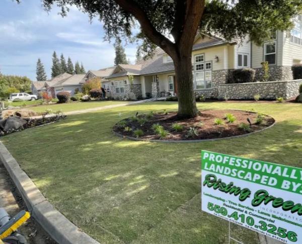 Rising Green Inc Tree & Landscaping | 6713 Hanford Armona Rd, Hanford, CA 93230, United States | Phone: (559) 410-3783