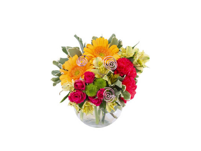 FREMINS FLOWERS | 26275 LA-23, Port Sulphur, LA 70083, USA | Phone: (504) 564-0206