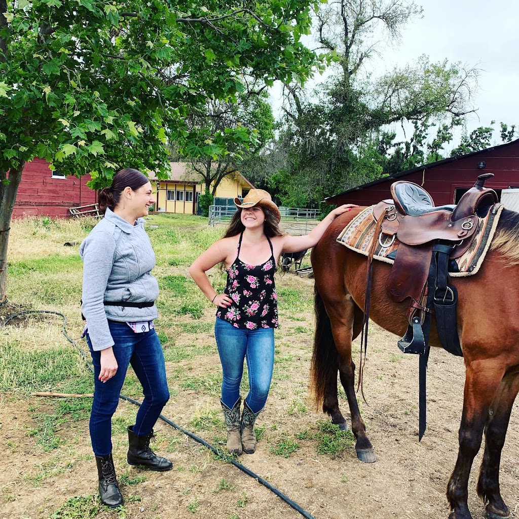 Trail Brothers Equestrian Facility | 8556 Gibson Ranch Park Rd, Elverta, CA 95626, USA | Phone: (916) 250-7272