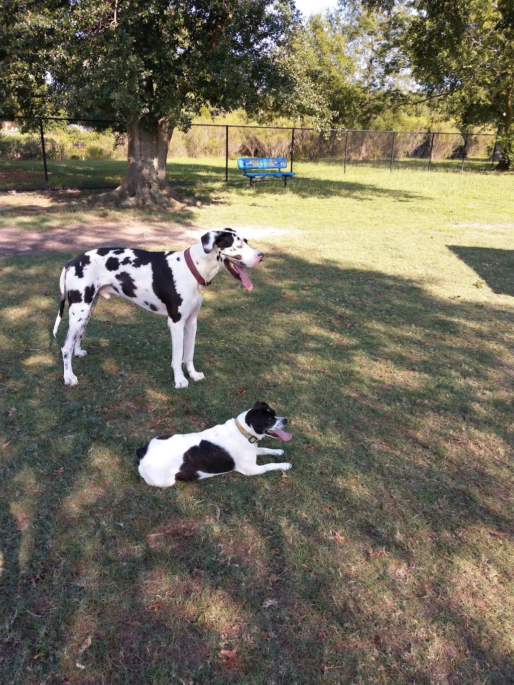 Ridgway Bark Park | 85 E Mercury Blvd, Hampton, VA 23669, USA | Phone: (757) 727-6348