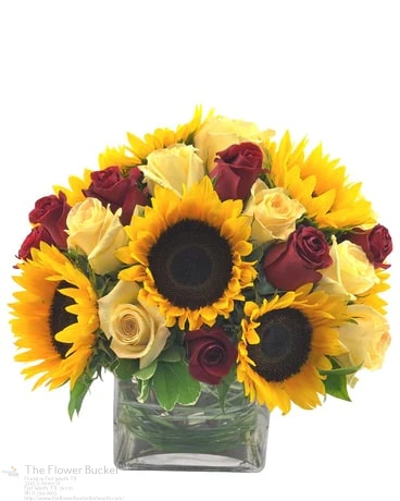 The Flower Bucket | 3345 S Jones St, Fort Worth, TX 76110, United States | Phone: (817) 294-0003