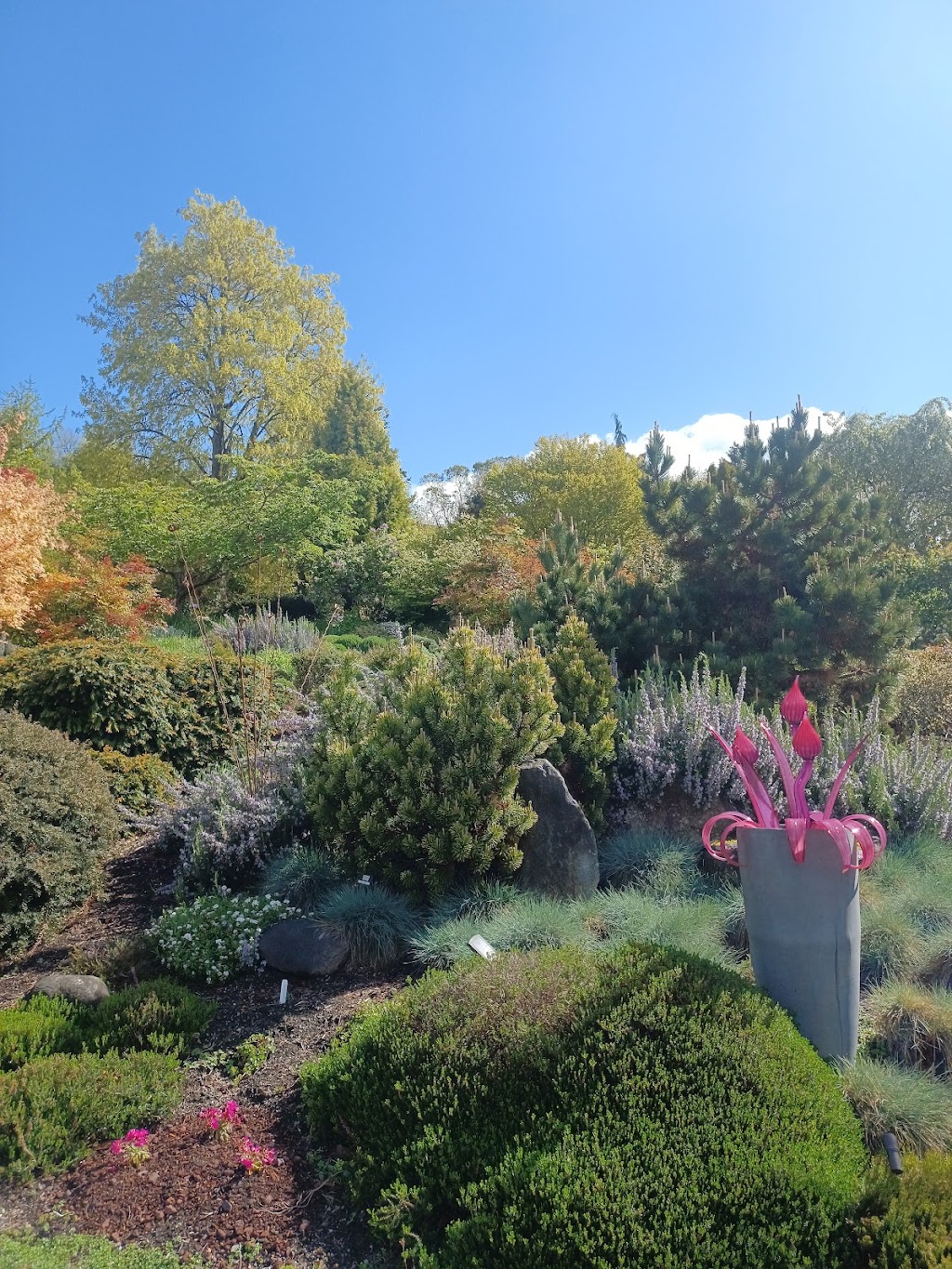 Albers Marcovina Vista Gardens | 124 E 31st St, Bremerton, WA 98310, USA | Phone: (360) 405-1511