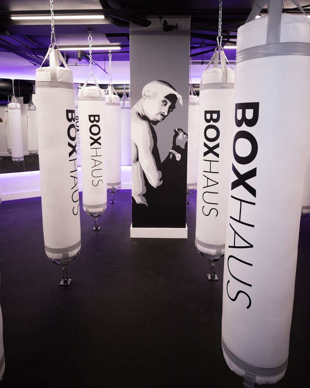 BOXHAUS | 13050 San Vicente Blvd Suite 202, Los Angeles, CA 90049, USA | Phone: (310) 986-2320