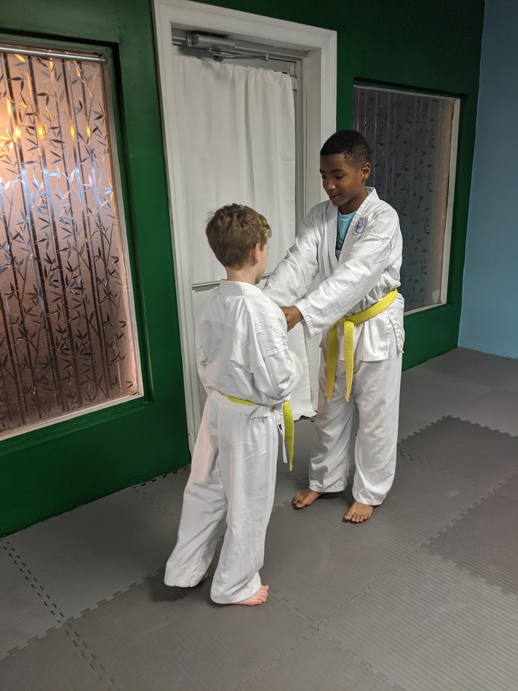 Shi Kaze Dojo | 177 Kendra Dr, McDonough, GA 30253, USA | Phone: (404) 855-1918