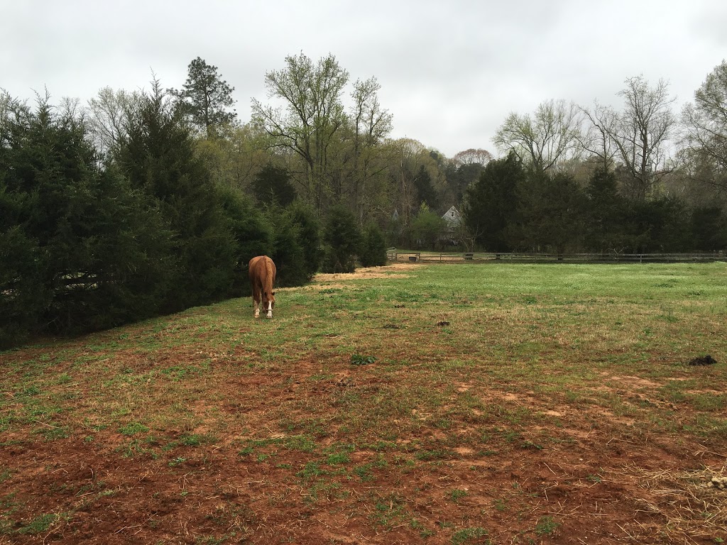 Level Green Riding School | 3350 John Tree Hill Rd, Powhatan, VA 23139, USA | Phone: (804) 794-8463