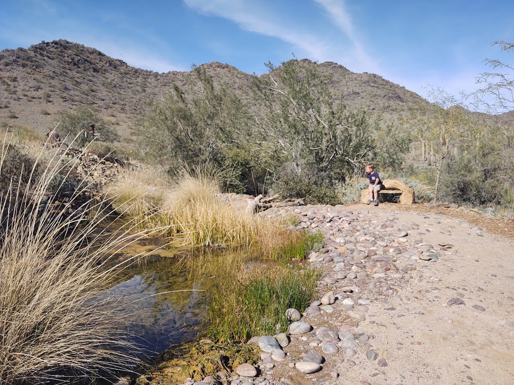 Cave Creek Regional Park | 37900 E Cave Creek Pkwy, Cave Creek, AZ 85331, USA | Phone: (623) 465-0431