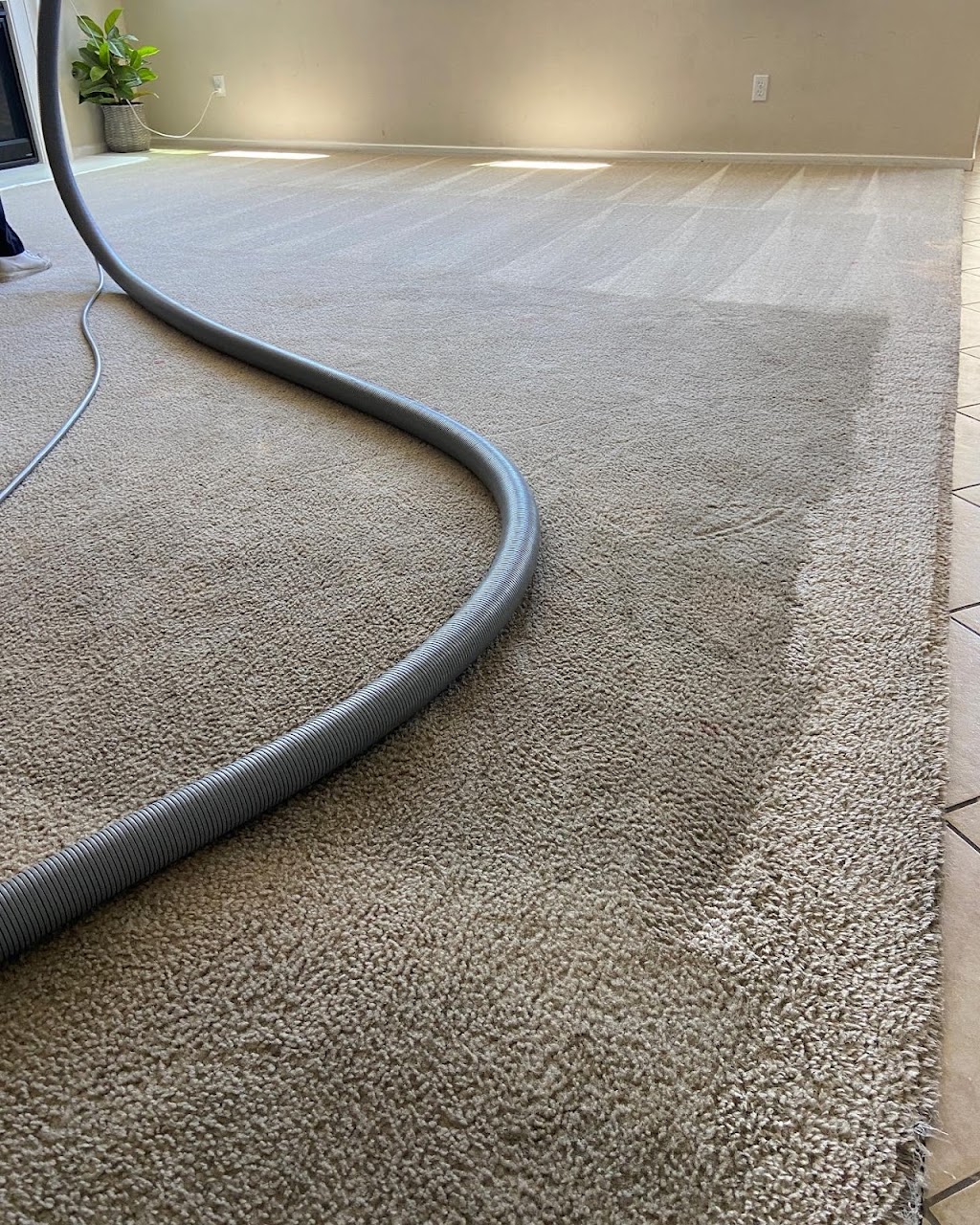 Petrichor Tile + Carpet Cleaning | 730 Flower St, Beaumont, CA 92223, USA | Phone: (951) 797-3992