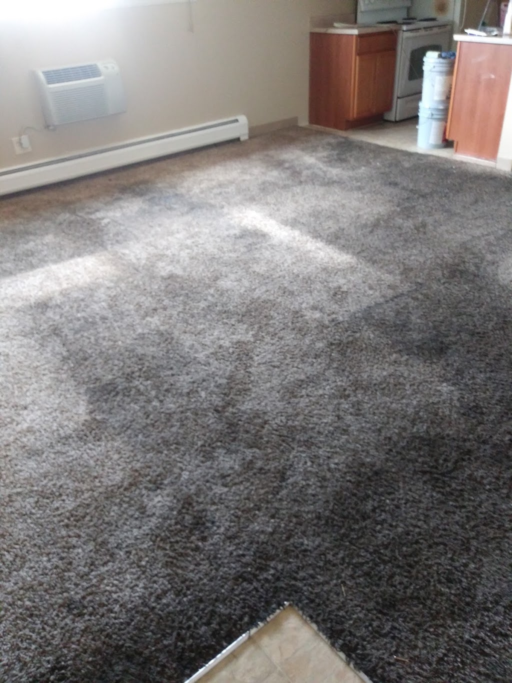 Elevation Carpet Cleaning | 4177, 7000 E 58th Ave #8, Commerce City, CO 80022 | Phone: (720) 371-6724