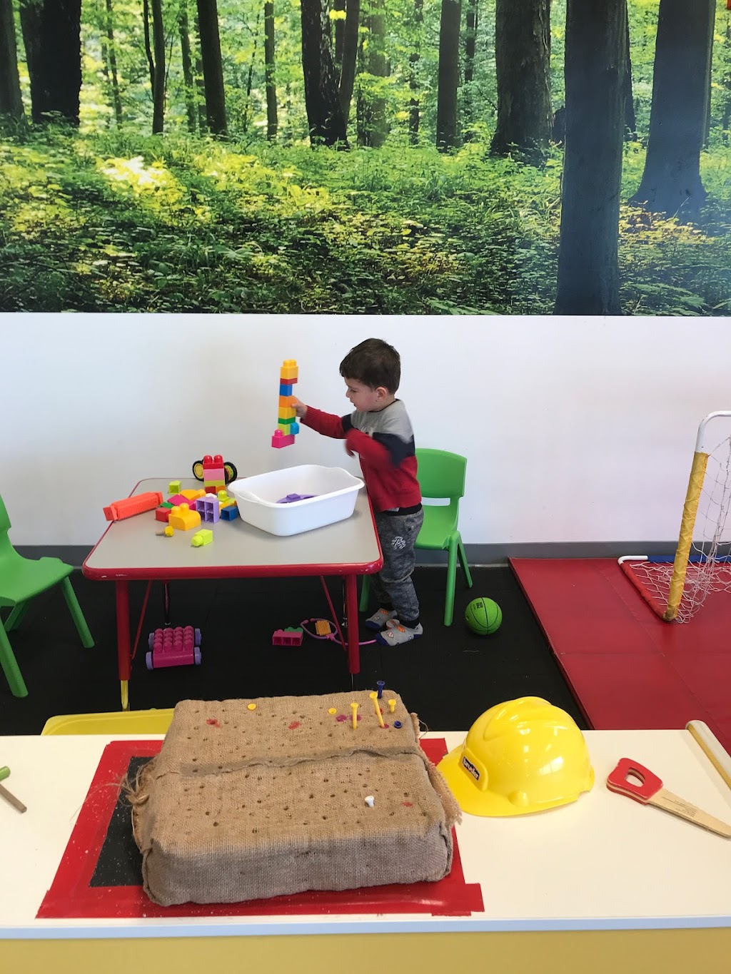 SensationAll Kids Gym | 1770 Willow Pass Rd, Concord, CA 94520, USA | Phone: (925) 798-1888