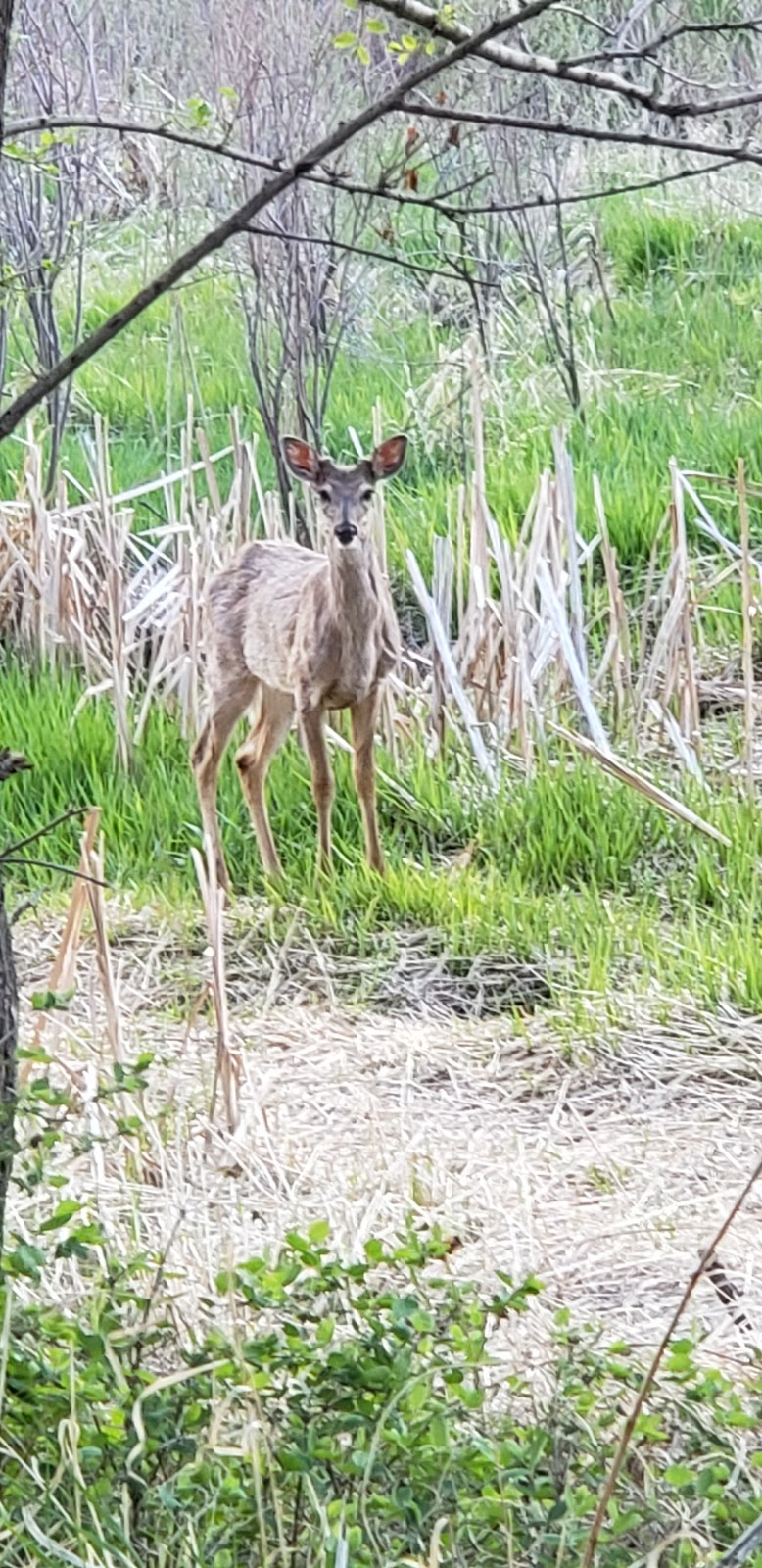 Lowell Ponds State Wildlife Area | 5515 Lowell Blvd, Denver, CO 80221, USA | Phone: (303) 291-7227