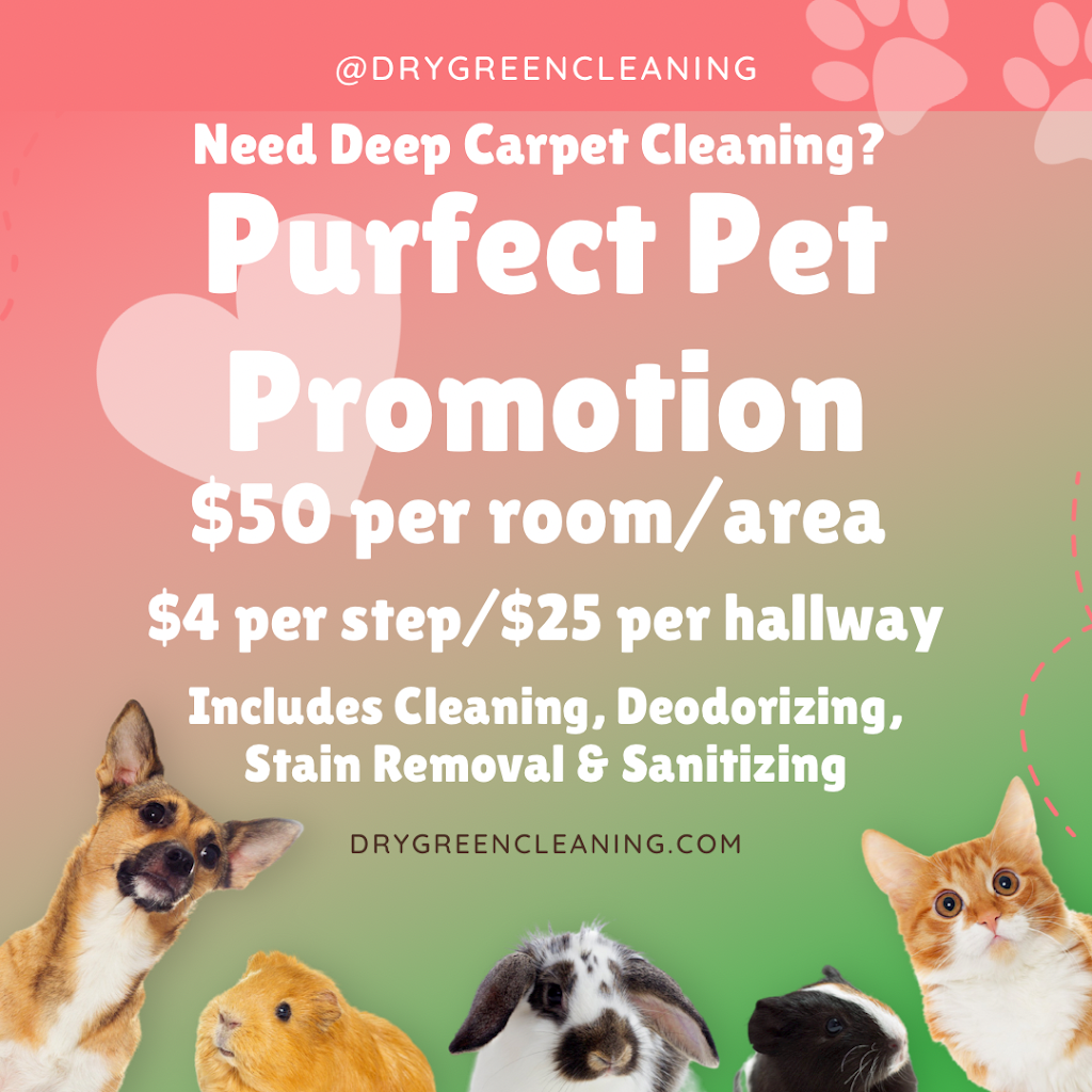 Dry Green Cleaning LLC | 27595 Berkshire Dr, Southfield, MI 48076, USA | Phone: (734) 707-8704