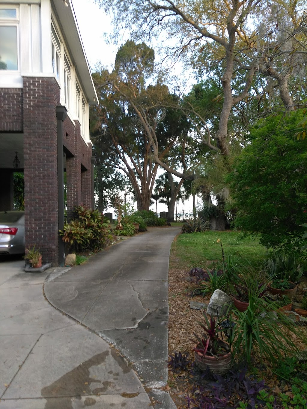 Palma Ceia Park | 2200 S Marti St, Tampa, FL 33629, USA | Phone: (813) 274-8211
