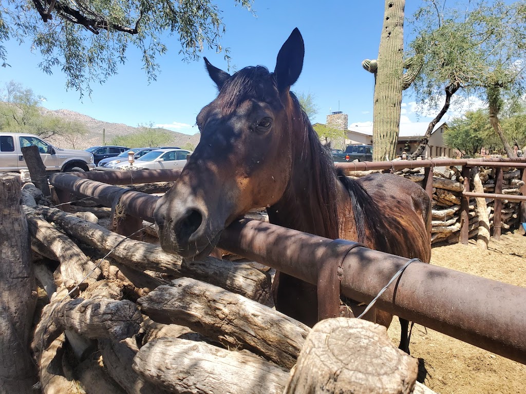 Tanque Verde Ranch | 14301 E Speedway Blvd, Tucson, AZ 85748, USA | Phone: (520) 296-6275