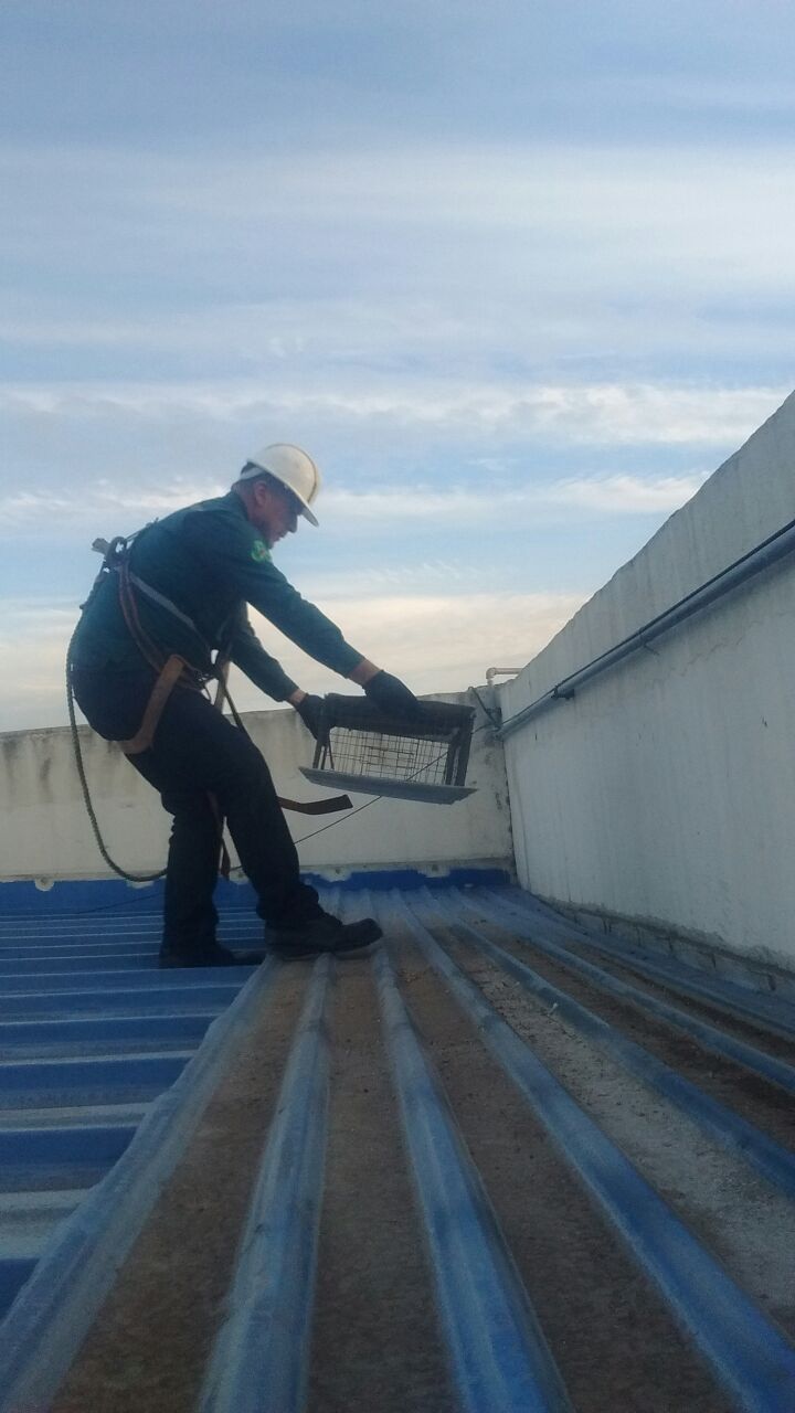 REX Fumigaciones | Paseo Playas de Tijuana 1852, Playas, Jardines del Sol, 22505 Tijuana, B.C., Mexico | Phone: 664 680 9185