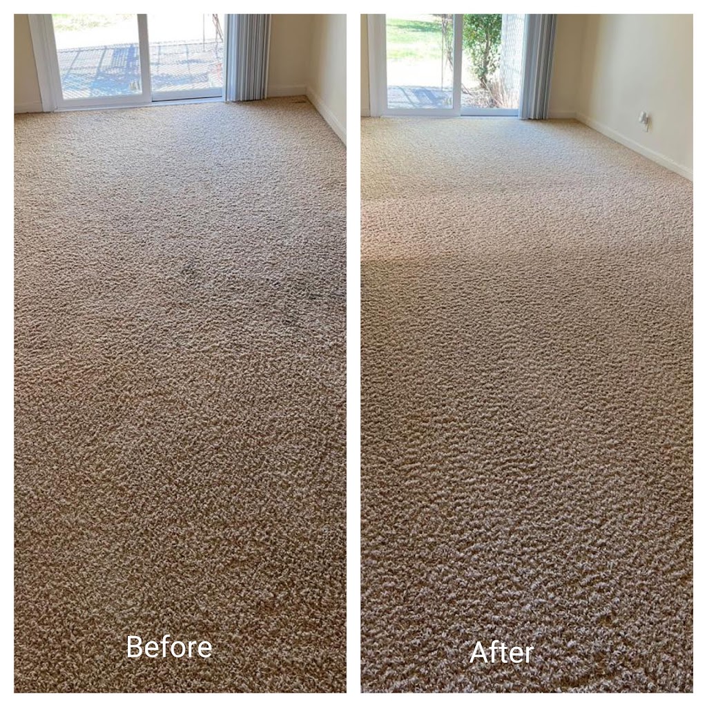Quality Carpet & Tile Cleaning LLC | 22 Roosevelt Ave, Morganville, NJ 07751, USA | Phone: (732) 778-6241