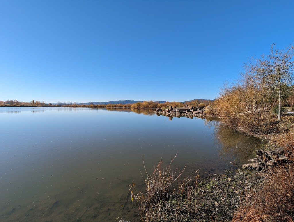 Dabblers Marsh Trail | Fernhill Wetlands Nature Trail, Forest Grove, OR 97116, USA | Phone: (503) 681-3600