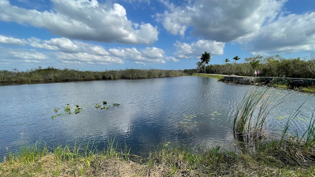 Royal Palm Visitor Center | Florida, USA | Phone: (305) 242-7237