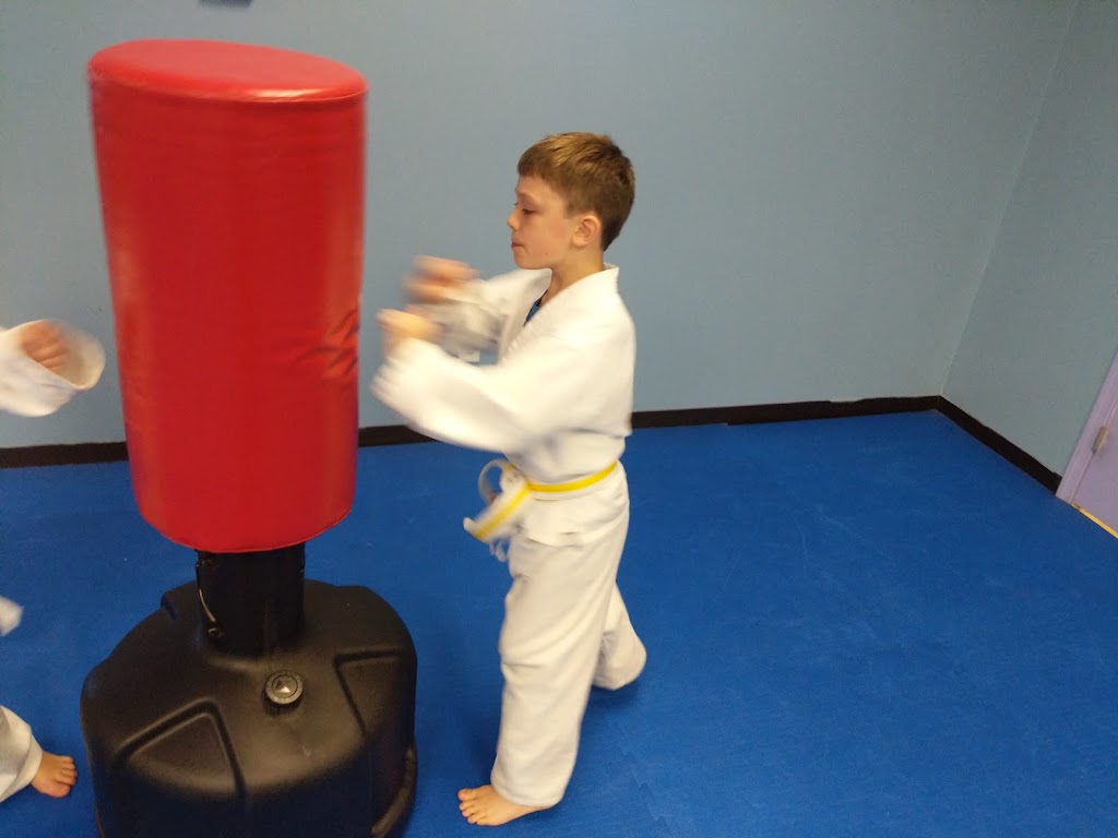 Alpha Omega Martial Arts | 745 N Chestnut St suite c, Wahoo, NE 68066, USA | Phone: (402) 277-8568