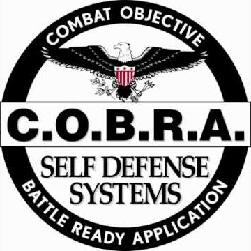 cobra self defense new jersey | 510 E Main St, Denville, NJ 07834, USA | Phone: (973) 983-1132