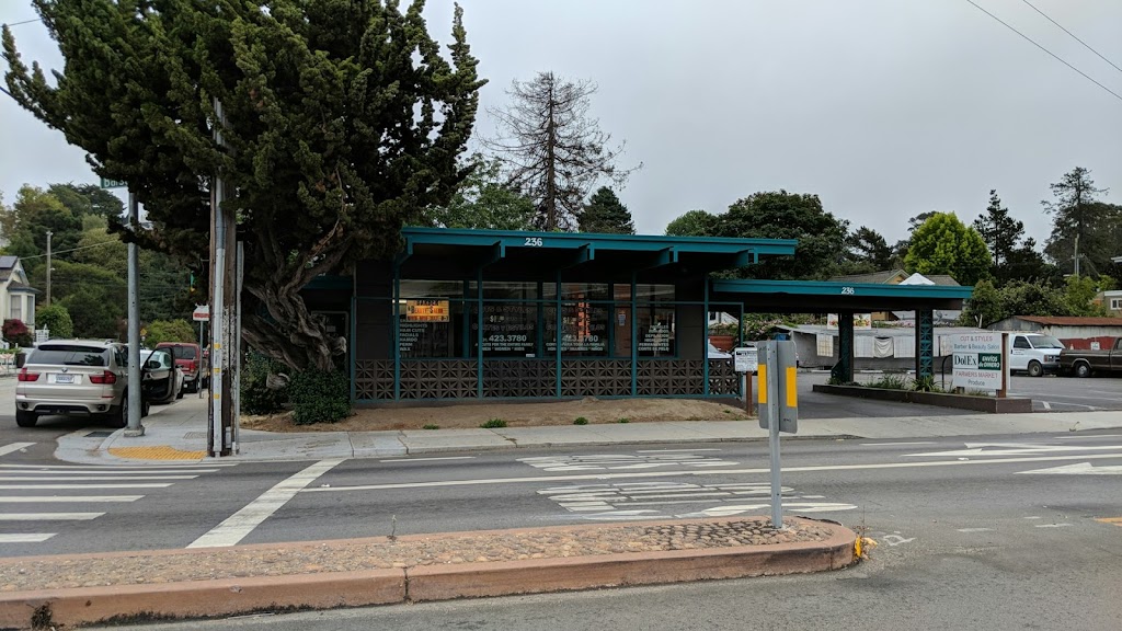 Cuts & Styles | 236 Ocean St, Santa Cruz, CA 95060, USA | Phone: (831) 423-3780