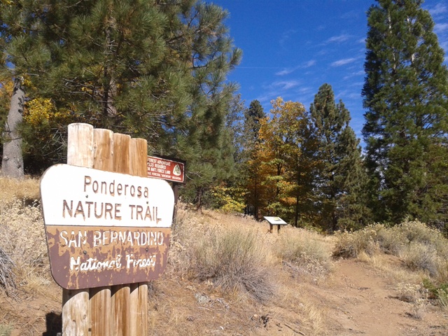 Ponderosa Vista Nature Trail 1E19 | 40925 CA-38, Angelus Oaks, CA 92305, USA | Phone: (909) 382-2882