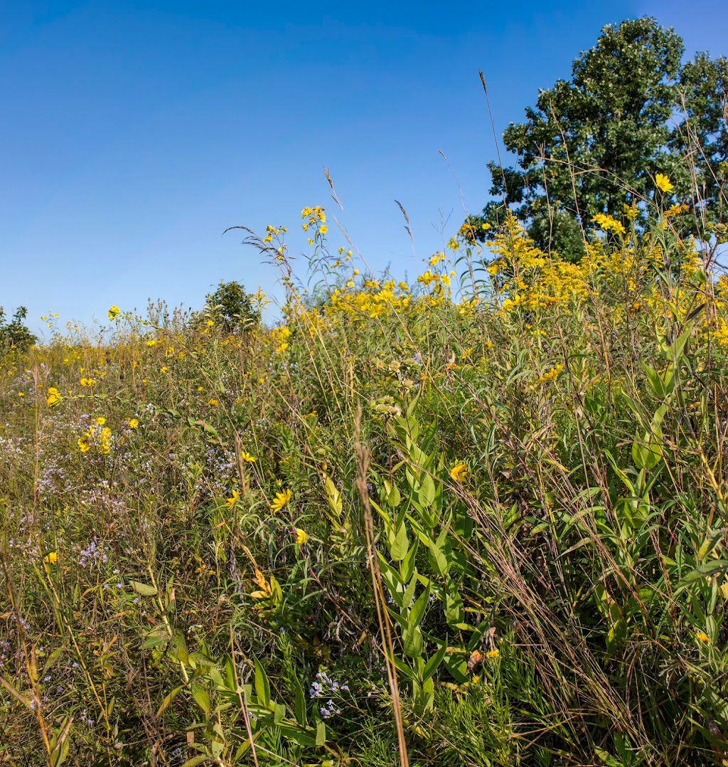 Kessler Railroad Prairie State Natural Area | Janesville, WI 53548 | Phone: (888) 936-7463