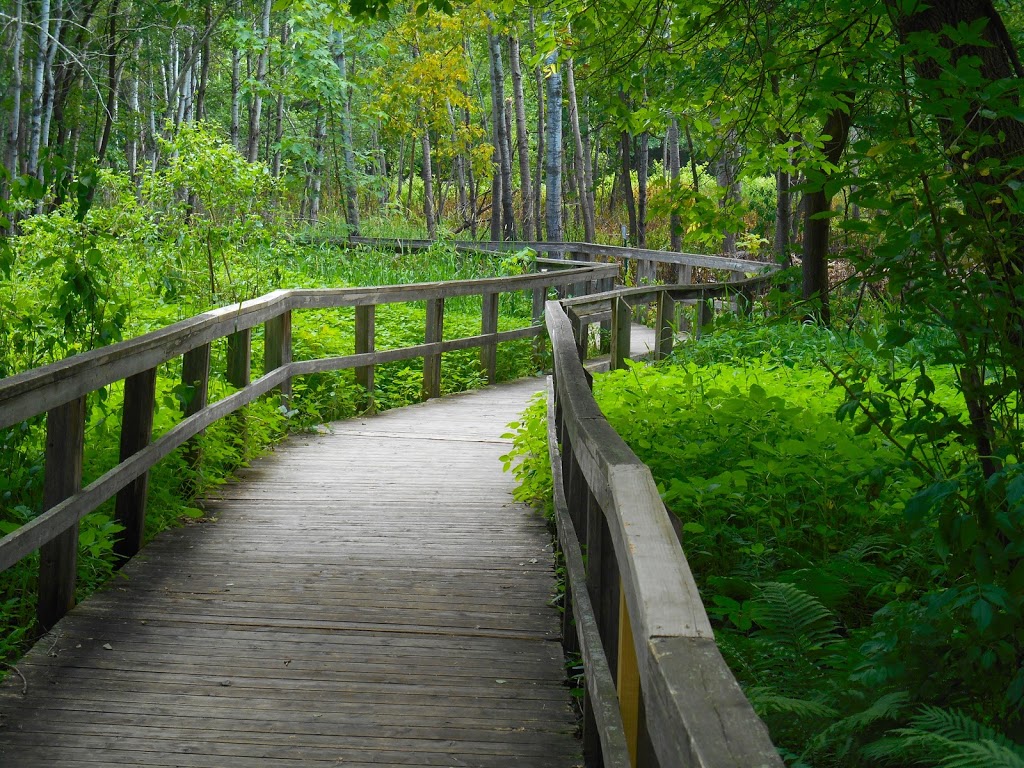 Springbrook Nature Center | 100 Sanburnol Dr NE, Fridley, MN 55432, USA | Phone: (763) 572-3588