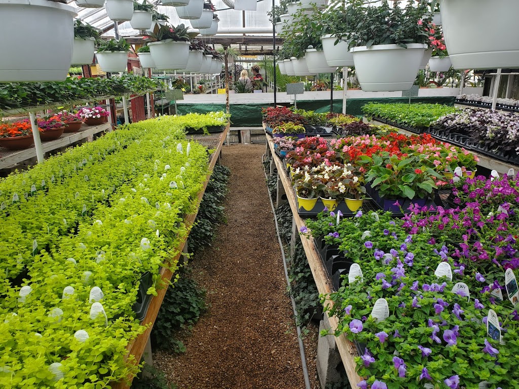 Bayer Garden Shops Inc | 5926 Old State Rd, Imperial, MO 63052 | Phone: (636) 464-2314