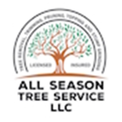 All Season Tree Service LLC | 1003 N Hickory St, Chattanooga, TN 37406, United States | Phone: (423) 454-3220