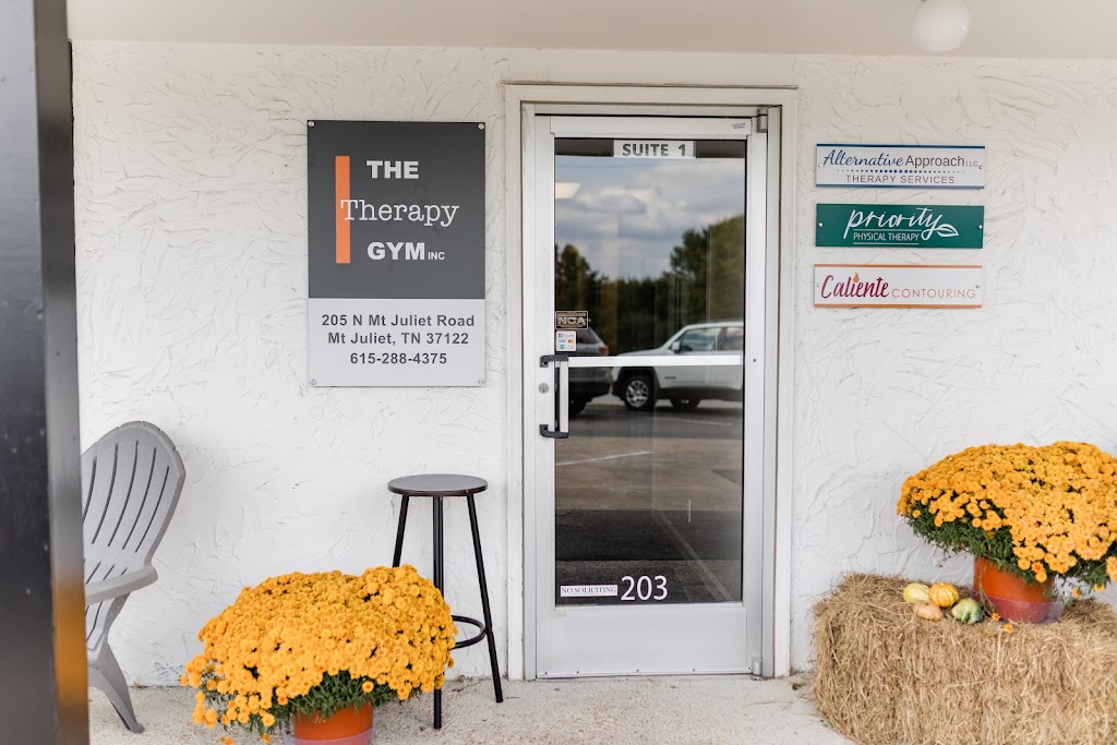 Priority Physical Therapy. LLC | 205 N Mt Juliet Rd, Mt. Juliet, TN 37122, USA | Phone: (615) 696-9818