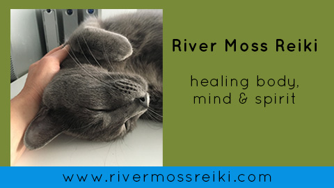 River Moss Reiki | 1414 N Nevada Ave, Colorado Springs, CO 80907, USA | Phone: (719) 985-1556