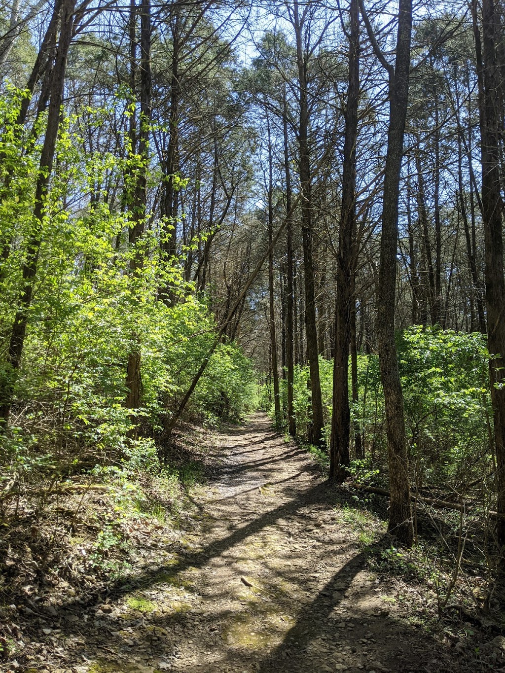 The Trails at Fontanel | Unnamed Road, Whites Creek, TN 37189, USA | Phone: (615) 724-1600