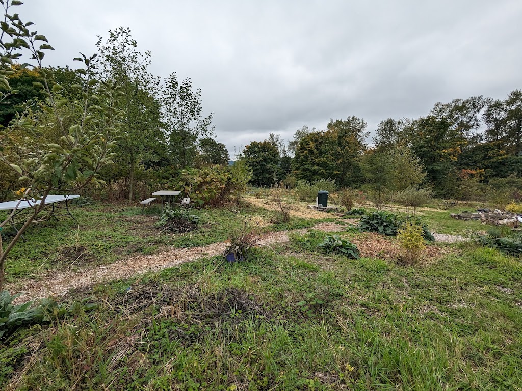 The Duvall Food Forest | 26524 NE Cherry Valley Rd, Duvall, WA 98019, USA | Phone: (949) 940-6409