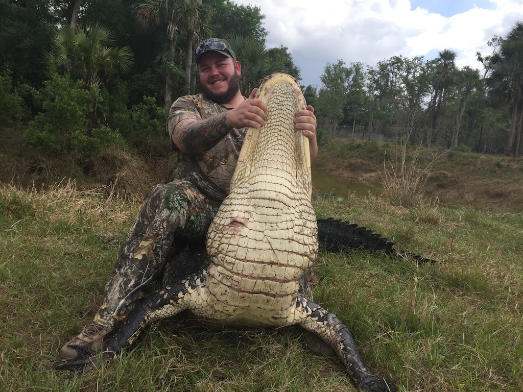 ALLIGATOR HUNTING IN FLORIDA | Fish Branch Rd, Zolfo Springs, FL 33890, USA | Phone: (863) 417-9930
