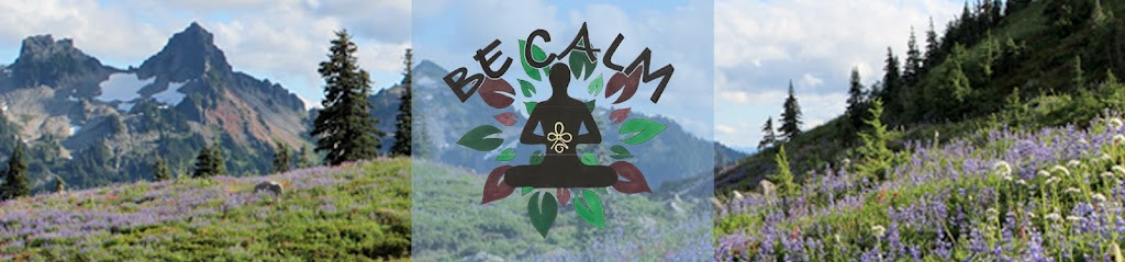 BeCalm Inc. | 1300 Brodhead Rd, Coraopolis, PA 15108, USA | Phone: (724) 784-0160