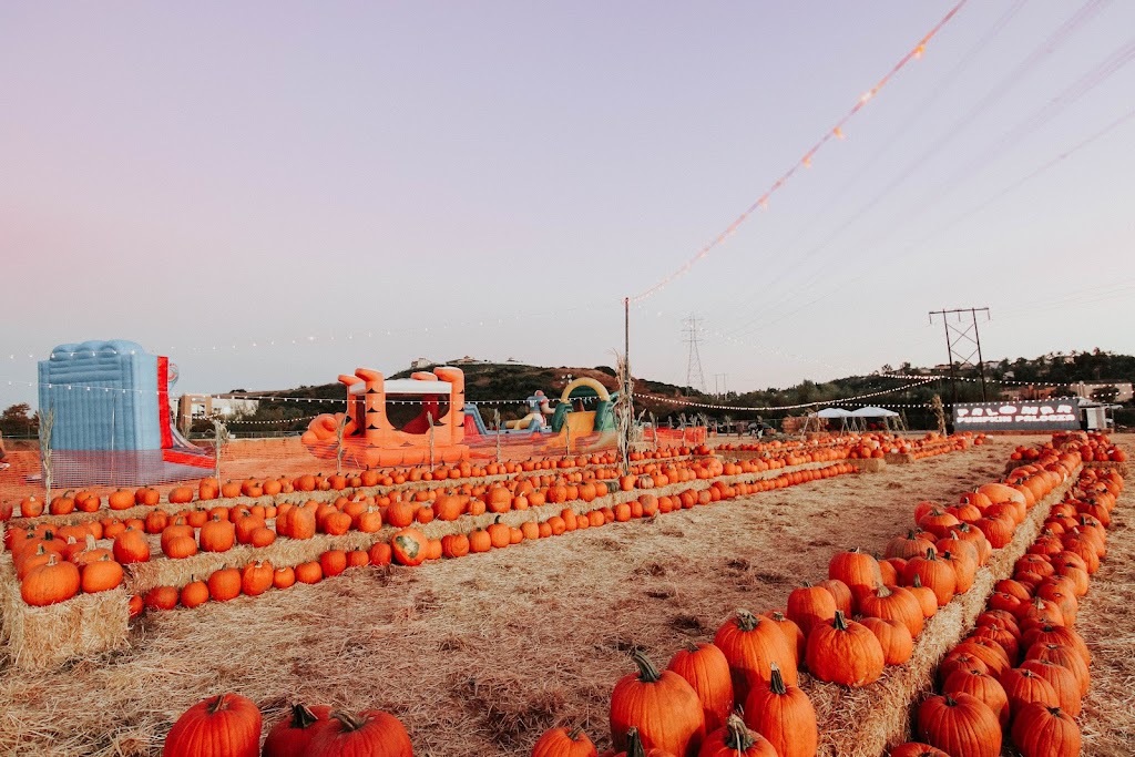 Pumpkin & Polar Palooza | 1200 Laurel Tree Ln, Carlsbad, CA 92011, USA | Phone: (619) 216-0199