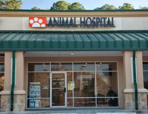 Ridgemoor Animal Hospital | 4936 Ridgemoor Blvd, Palm Harbor, FL 34685 | Phone: (727) 330-7688