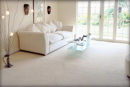 Winter Carpet Cleaning | 9466 Griggs Ave, Circle Pines, MN 55014, USA | Phone: (651) 486-8933