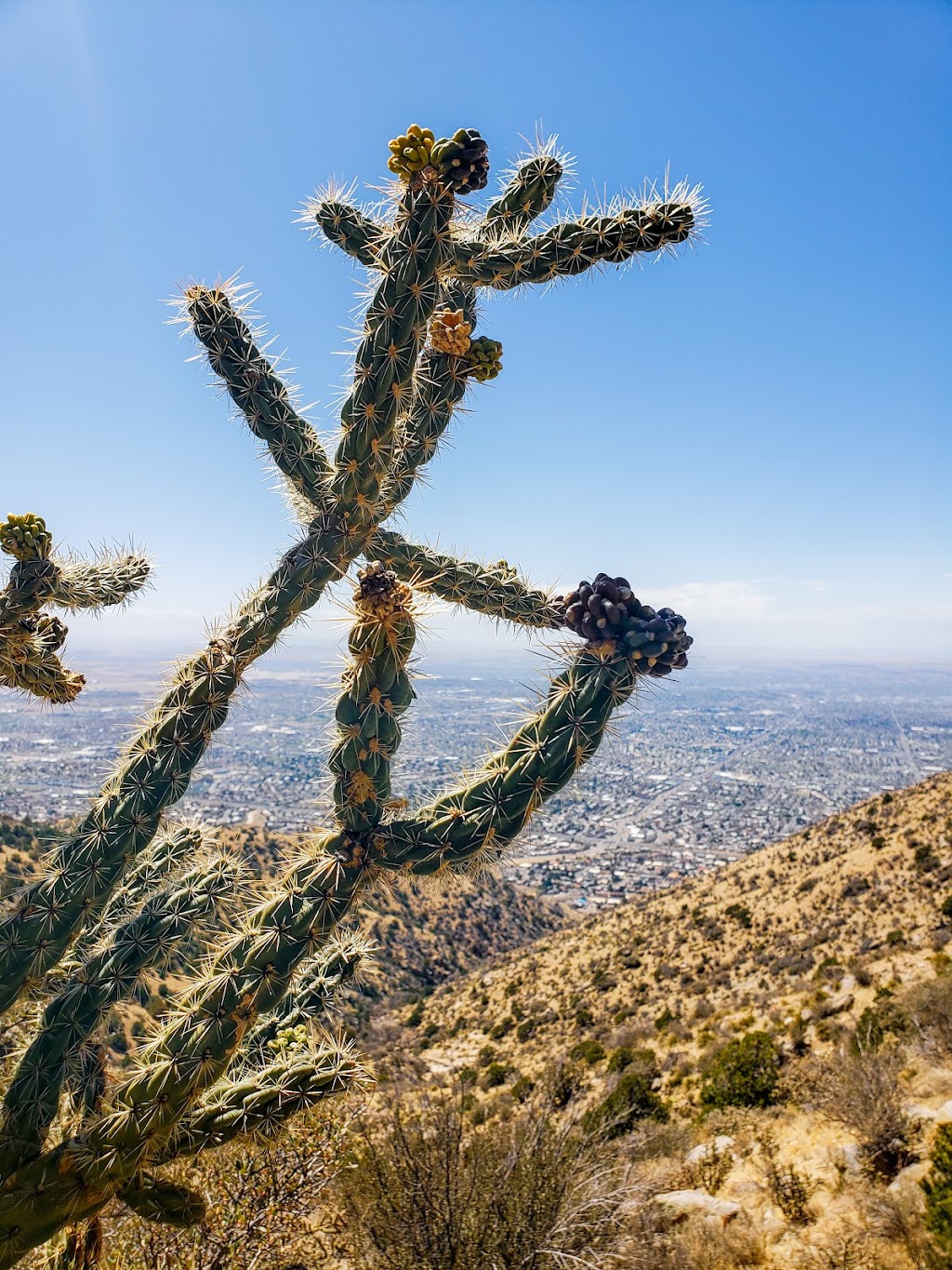 Sandia Foothills Open Space | Albuquerque, NM 87111, USA | Phone: (505) 332-5240