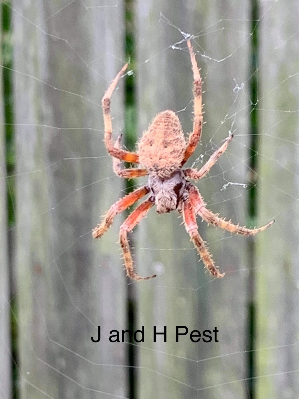 J and H Weed and Pest control | 711 Cedar Ave, Yukon, OK 73099, USA | Phone: (405) 467-4771